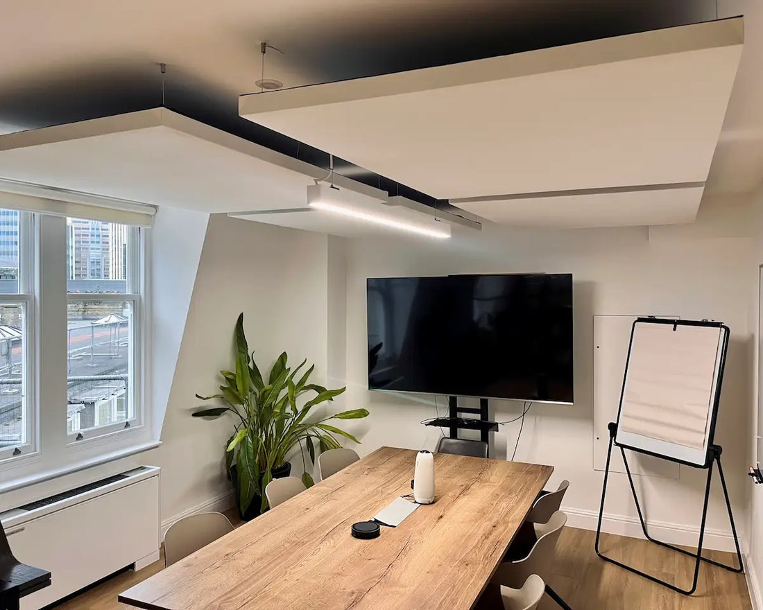 Workspace with suspended acoustic ceiling panels
