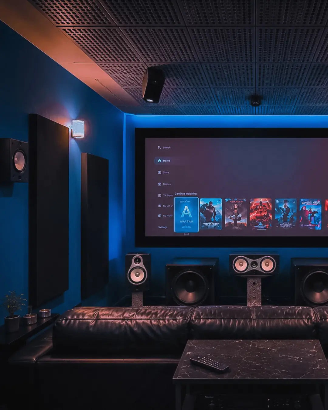 Home theatre with acoustic treatment